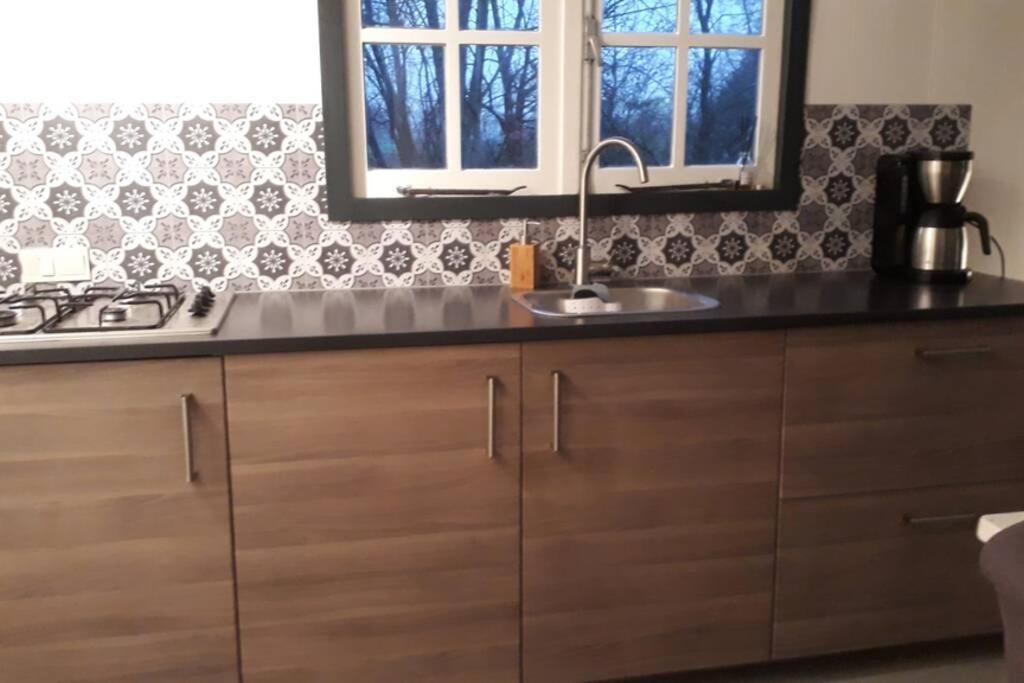 Chalet Het Wollinghuisje Vlagtwedde Ngoại thất bức ảnh