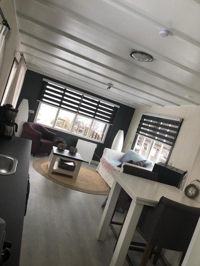 Chalet Het Wollinghuisje Vlagtwedde Ngoại thất bức ảnh
